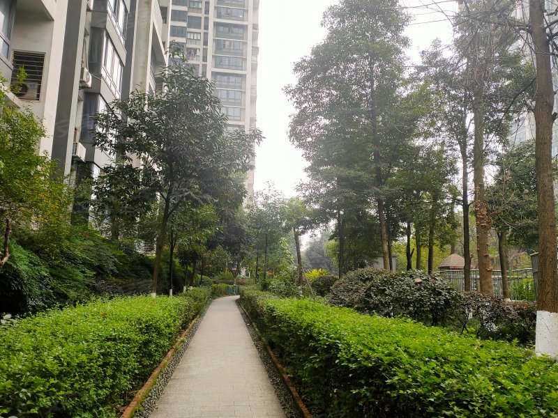 承誉德天下城,盘溪六支路6号-重庆承誉德天下城二手房,租房,房价-重庆