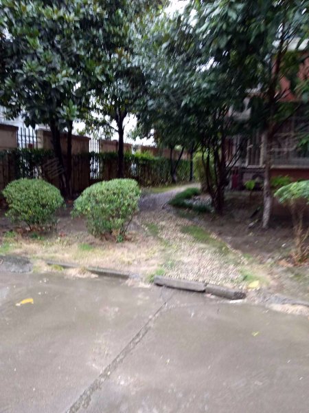 山泉花苑(北区) 