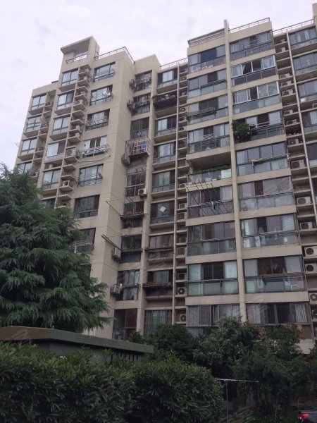 金橘新苑(南区) 