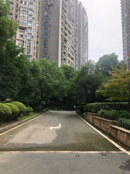 东湖春树里,徐东大街50号-武汉东湖春树里二手房,租房,房价-武汉安居