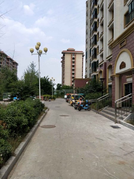 置城8号公馆,金宇路-济宁置城8号公馆二手房,租房,房价-济宁安居客