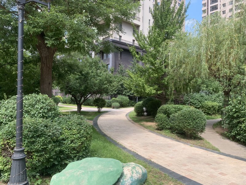 国宝壹号,渤海大街,近清华路-营口国宝壹号二手房,租房,房价-营口安居