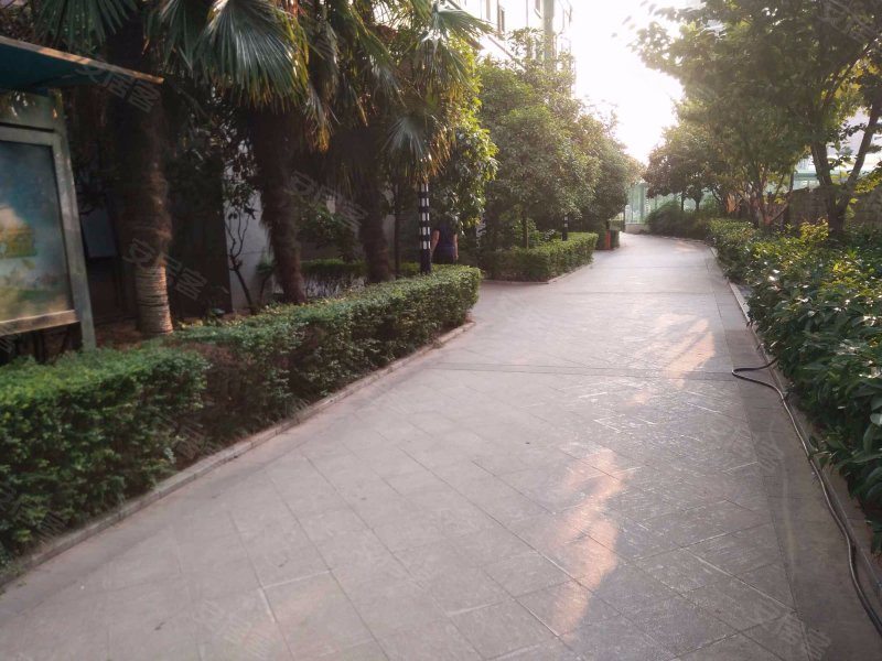 天力大厦,科技四路191号