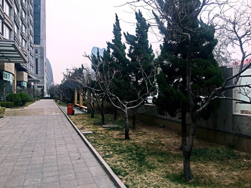 天安豪园,朝阳公园西路17号-北京天安豪园二手房,租房,房价-北京安居