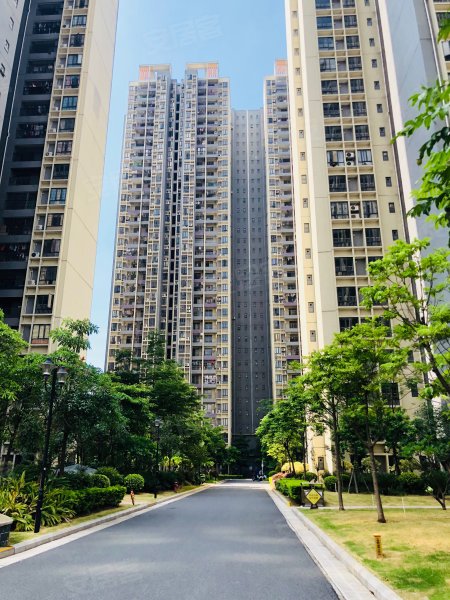凤凰春天花园,清远大道-清远凤凰春天花园二手房,租房,房价-清远安居