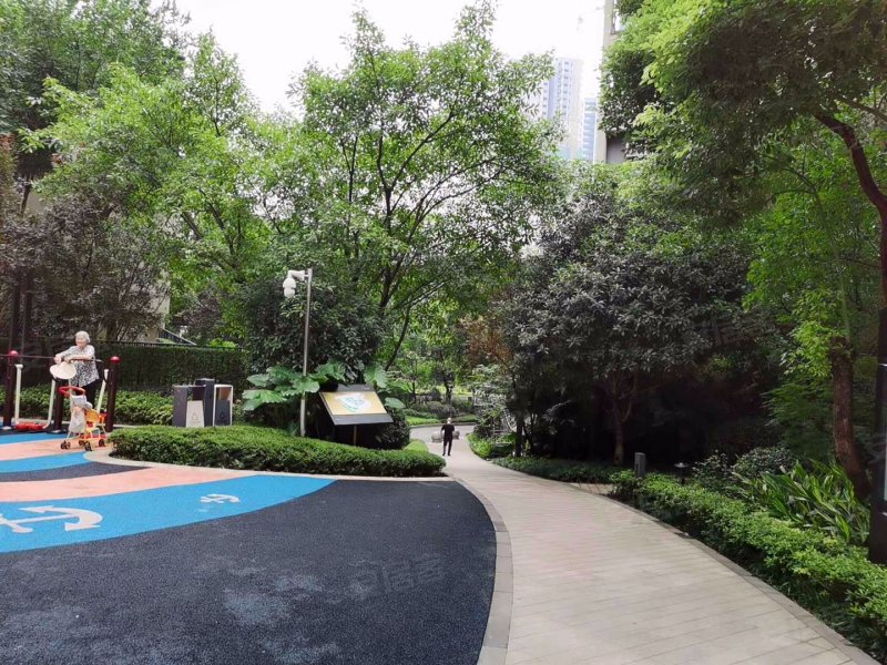 龙湖春森彼岸(2期)