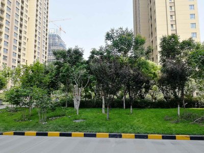东南智汇城牡丹园小区图片相册,石家庄东南智汇城牡丹园实景图,室外图