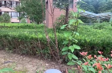 金色航城富鑫苑