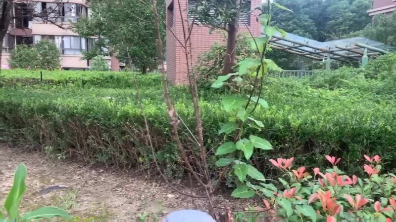 金色航城富鑫苑 