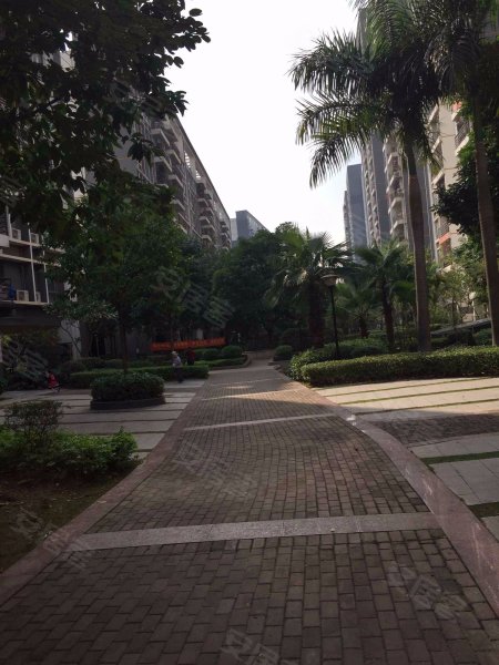 阳光新城蓝波湾,五象大道269号-南宁阳光新城蓝波湾二手房,租房,房价