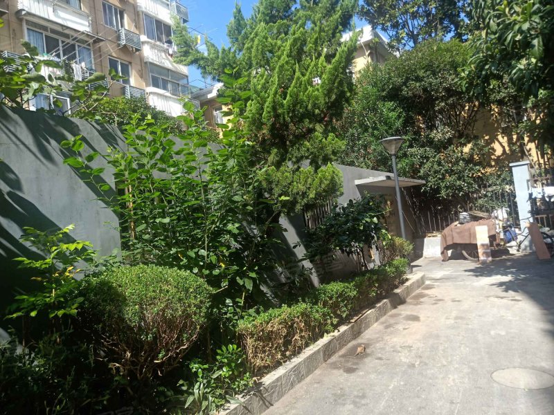 玉兰路46弄小区 