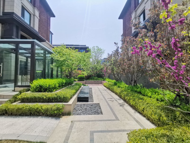 中欧国际城金茂墅西三区b2别墅