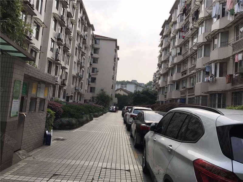 涌金花园,劳动路177号-杭州涌金花园二手房,租房,房价-杭州安居客