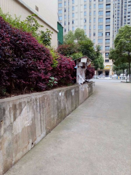 金岭小区,茶子山中路260号-长沙金岭小区二手房,租房,房价-长沙安居客