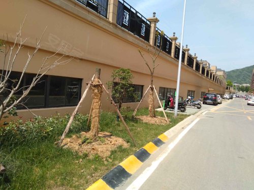 玉兰花园(二期),玉兰路,近仙林东路 - 句容玉兰花园(二期)二手房,租房