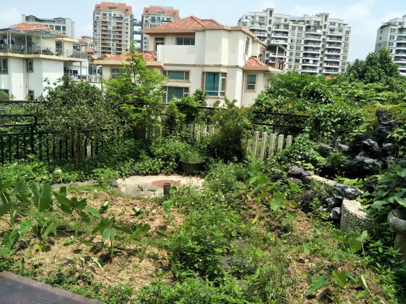 亨泰山庄,翠景路113号-深圳亨泰山庄二手房,租房,房价-深圳安居客