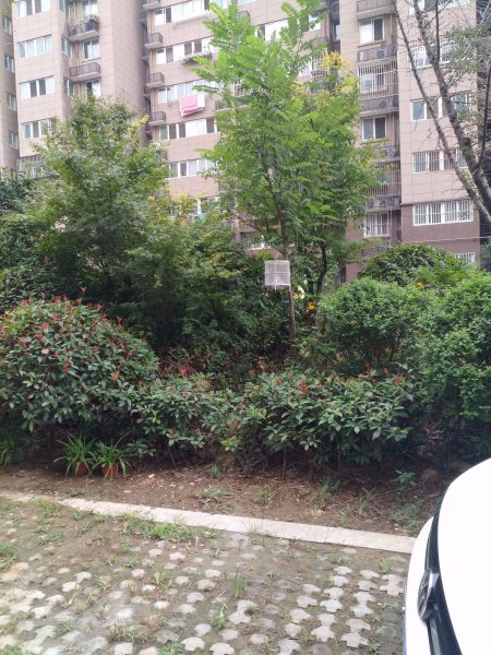 湖西雅苑a区,兴盛路-徐州湖西雅苑a区二手房,租房,房价-徐州安居客