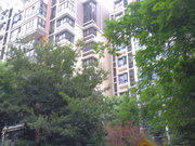 南湖小区图片