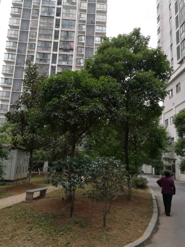 阳光新城,建设中路789号 - 株洲阳光新城二手房,租房,房价-株洲安居客