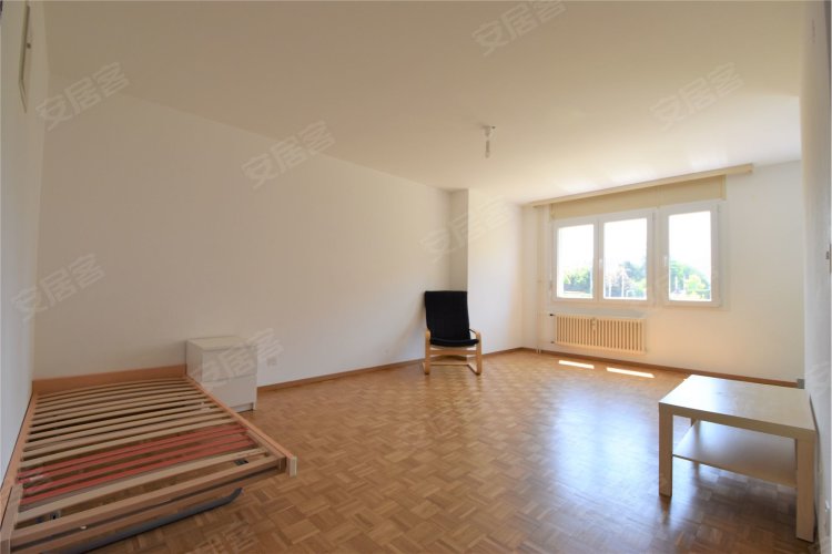 瑞士约¥155万For Investors: Apartment d二手房公寓图片