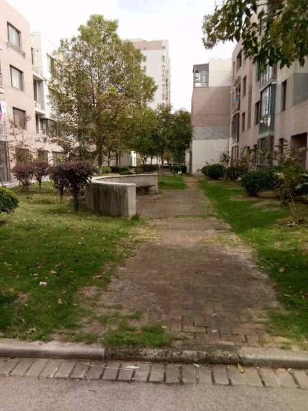 绿地临港家园海洋小区 