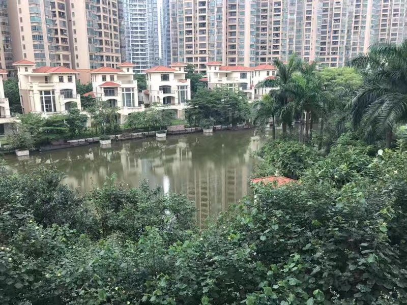 凤山水岸(别墅),双龙大道68号-江门凤山水岸(别墅)二手房,租房,房价
