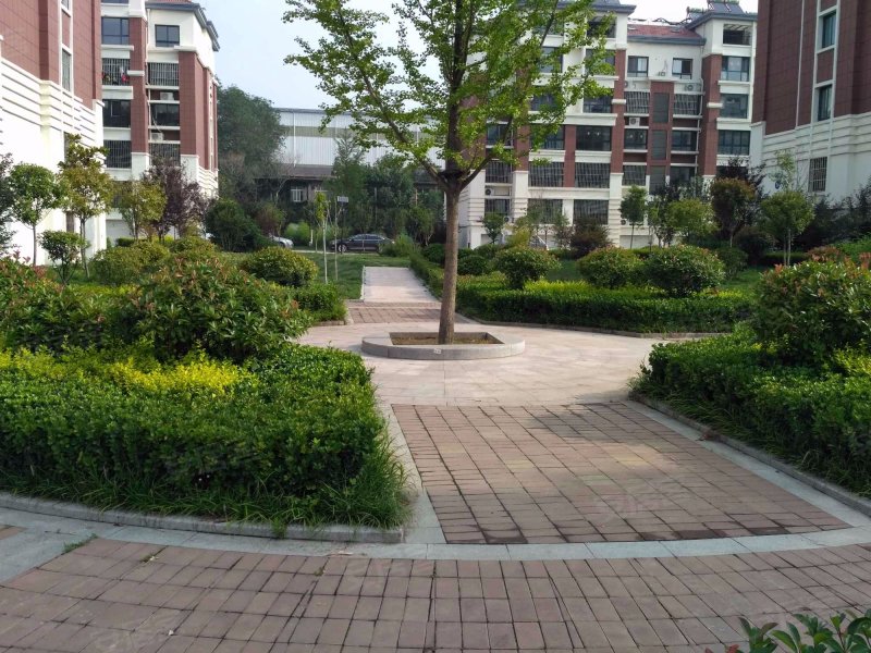 御景苑上城,滨州路37号-青岛御景苑上城二手房,租房,房价-青岛安居客