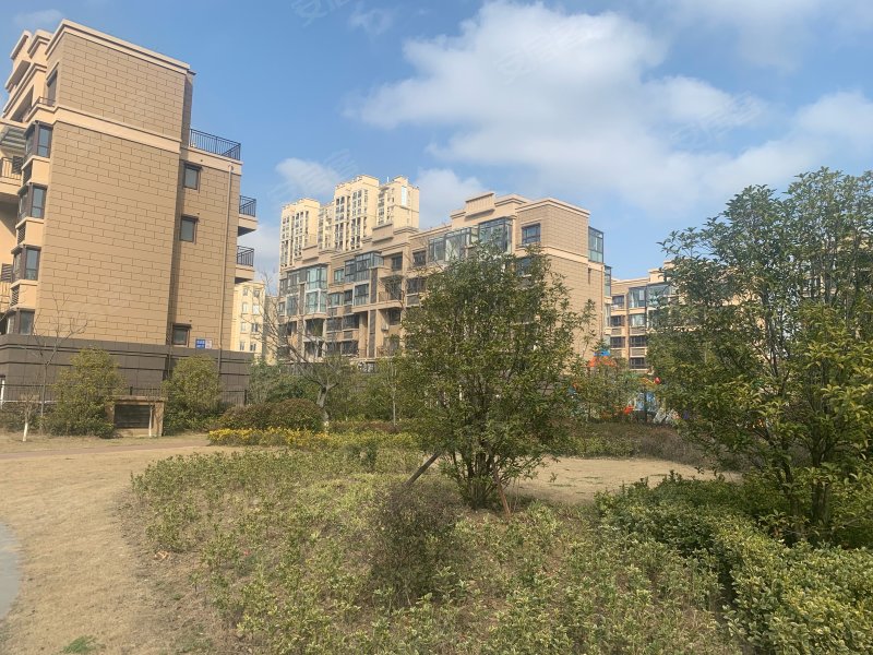 金洋奥澜(南区)