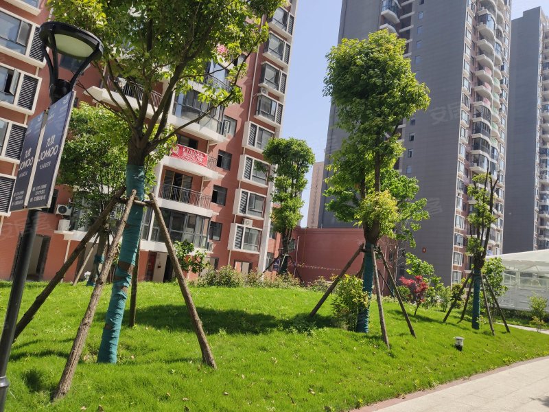 御景苑(监利),荆南大道-荆州御景苑(监利)二手房,租房,房价-荆州安居