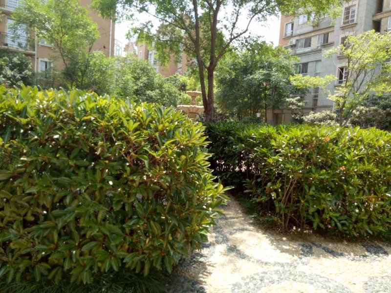 紫金英郡,英俊路,大池路-无锡紫金英郡二手房,租房,房价-无锡安居客