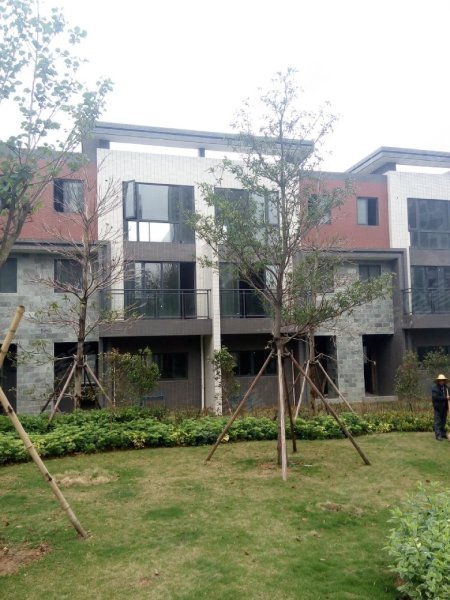 越秀星汇金沙二期别墅