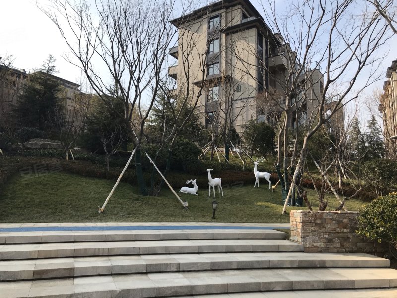 鑫江合院,王沙路27号-青岛鑫江合院二手房,租房,房价-青岛安居客