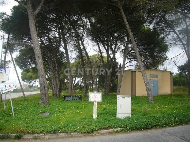 葡萄牙约¥51万PortugalSetúbal MunicipalityLand出售二手房土地图片