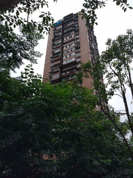 怡景园,石溪路新村7号-重庆怡景园二手房,租房,房价-重庆安居客