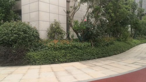 海棠湾,西三环 - 荆州海棠湾二手房,租房,房价-荆州安居客