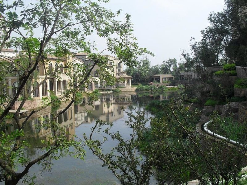 麓山国际帕萨迪纳2组