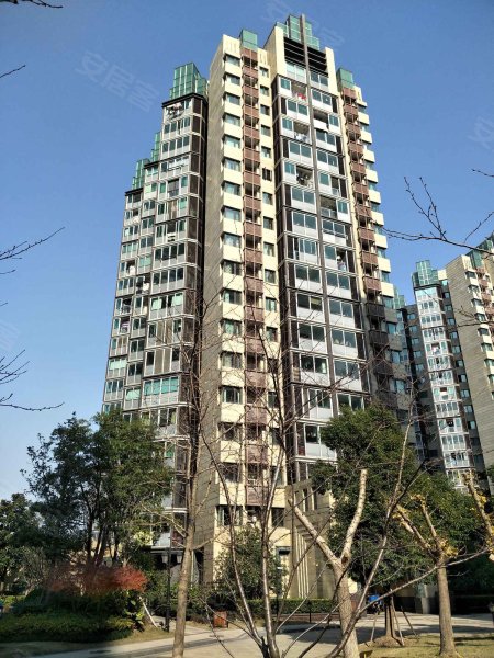 大华锦绣华城十五街区 