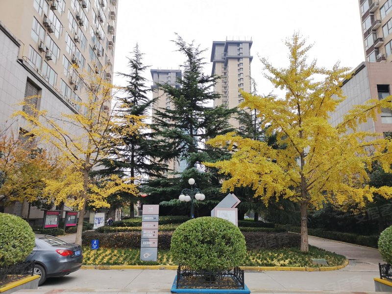 枫林绿洲云顶园,高新路89号-西安枫林绿洲云顶园二手房,租房,房价