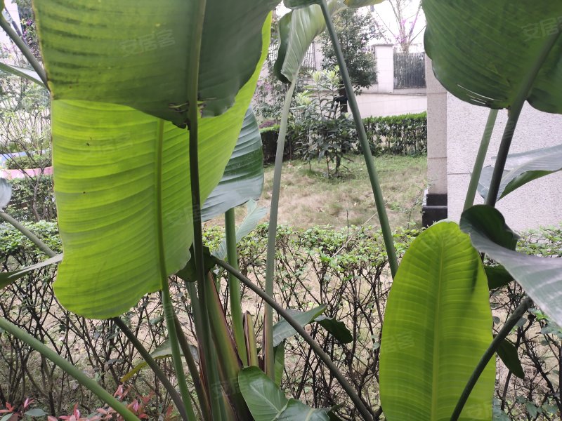 东原嘉阅湾天澜岸