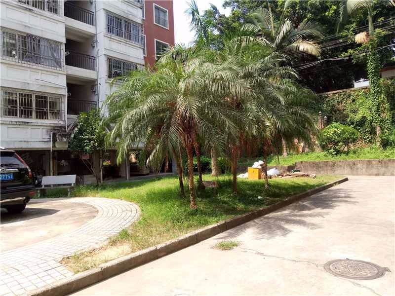 五凤山庄,白龙支路18号-福州五凤山庄二手房,租房,房价-福州安居客