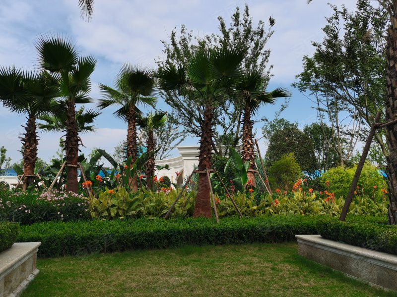 紫金台,建设北路9号-资阳紫金台二手房,租房,房价-资阳安居客