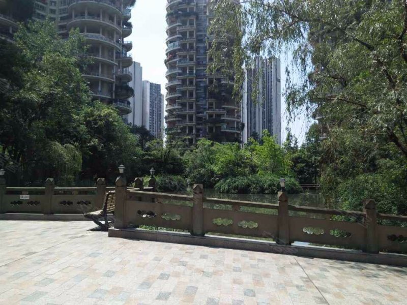 天鹅湖花园,天府大道中段177号-成都天鹅湖花园二手房,租房,房价-成都