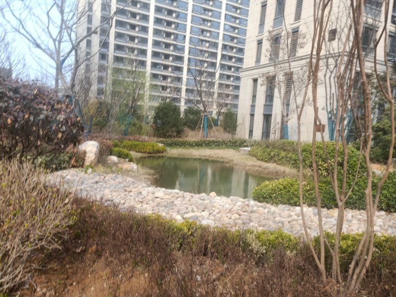 中康绿城百合花园,世纪西路-济南中康绿城百合花园二手房,租房,房价