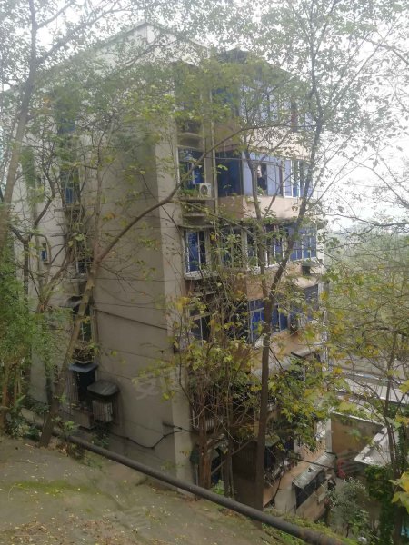 黄桷坪电厂电力二村,龙广路,近邮电路-重庆黄桷坪电厂电力二村二手房