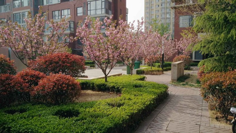 银盛泰星河城(一期)