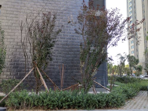 白佛家园,银佛家园|中山东路 - 石家庄白佛家园二手房,租房,房价