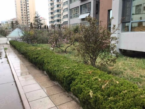 龙泽园,福宁路,近香港路 - 北京龙泽园二手房,租房,房价-北京安居客