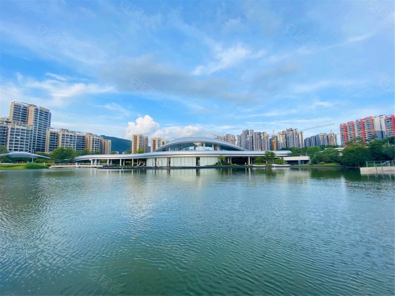 阳光城檀府,蓝塘三路-肇庆阳光城檀府二手房,租房,房价-肇庆安居客