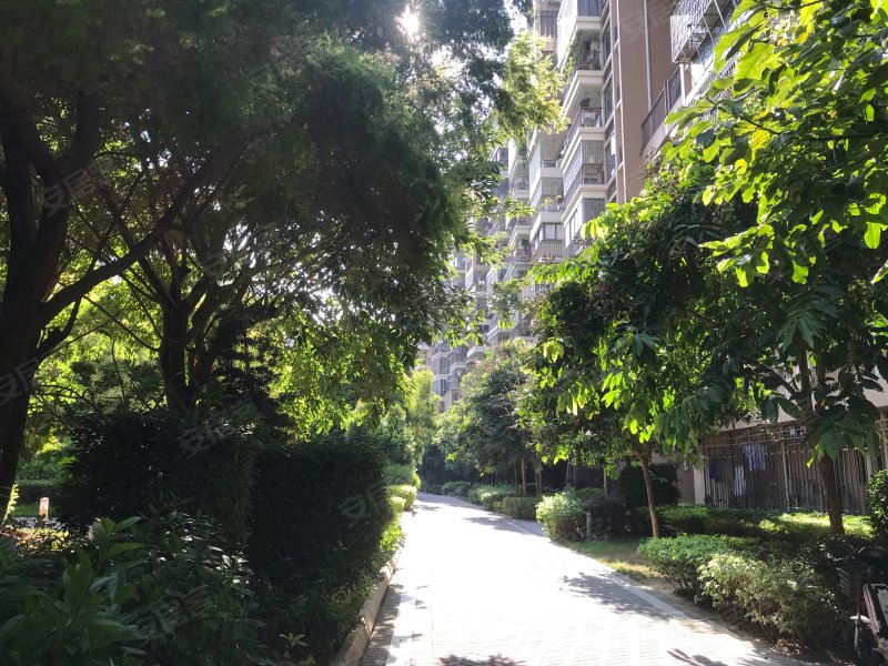 凯悦新城(公寓住宅),金湖二里44-66号-厦门凯悦新城(公寓住宅)二手房