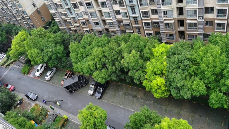 金色江南集景花园